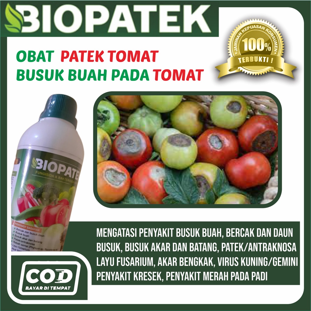 Jual Biasa Bayar Ditempat Obat Busuk Buah Batang Tomat Biopaek