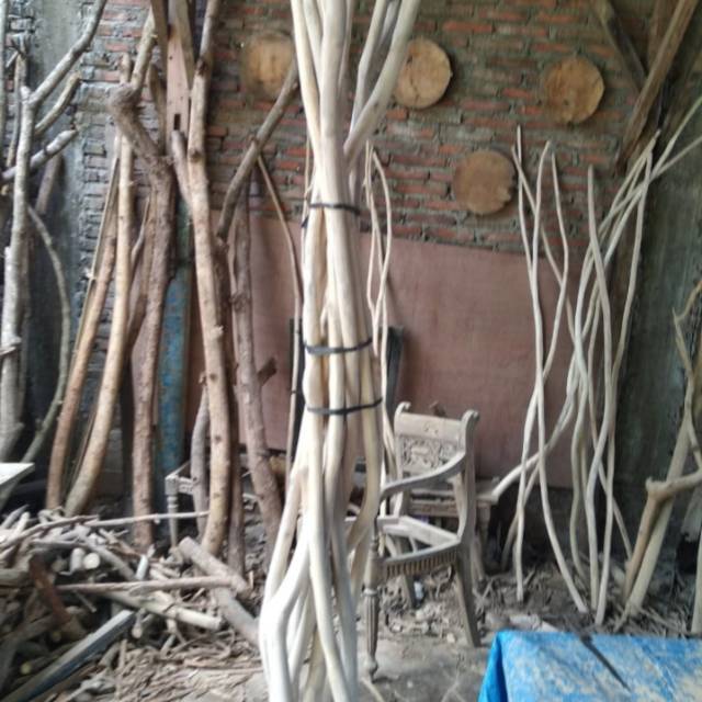 Jual Dekorasi dinding Ranting kayu jati kerjinan macrame | Shopee Indonesia