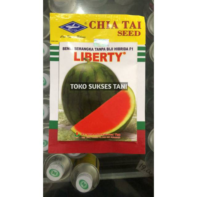 Jual Benih Semangka Tanpa Biji Hibrida F1 LIBERTY. Mudah Perawatan ...