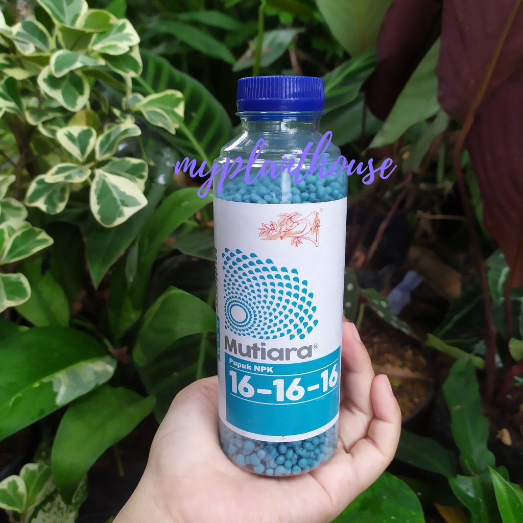 Jual PUPUK NPK MUTIARA 161616 Repack Botol 200 Gram Nutrisi Pertumbuhan ...