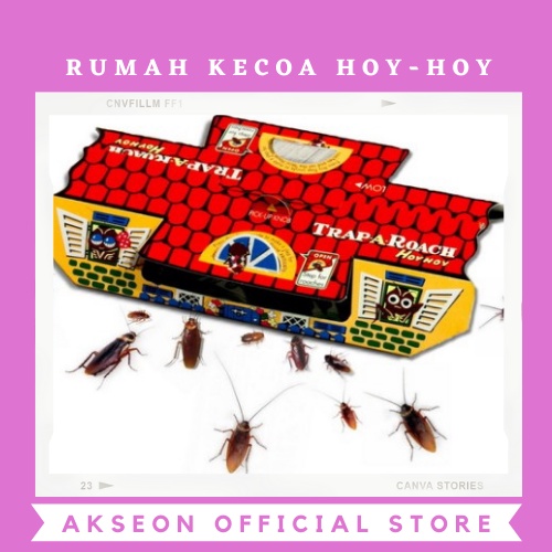 Jual Rumah kecoa Hoy Hoy (perangkap kecoa) perangkap kecoa kecoak ...