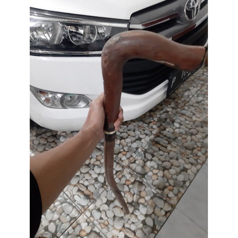 Jual Tongkat jalan kayu stigi asli model naga polos | Shopee Indonesia