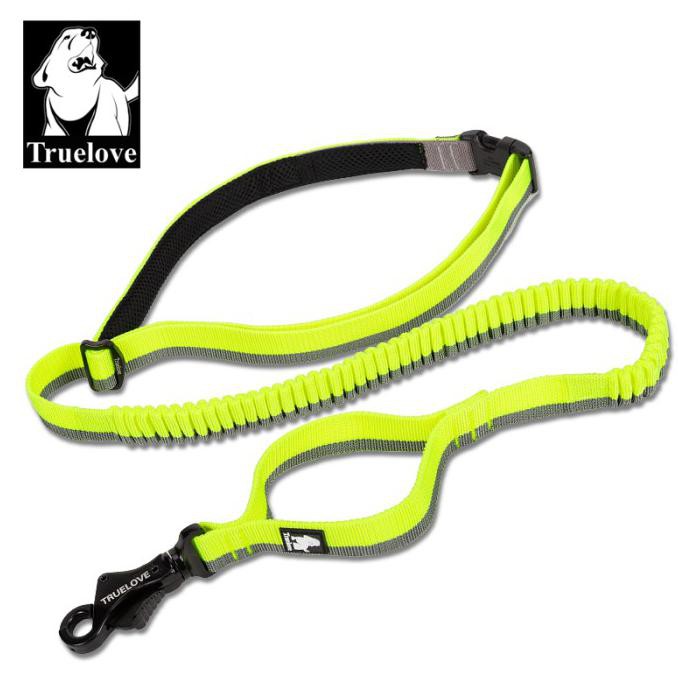 Jual Truelove Pet Dog Running Bungee Leash Adjustable Tali Tuntun ...