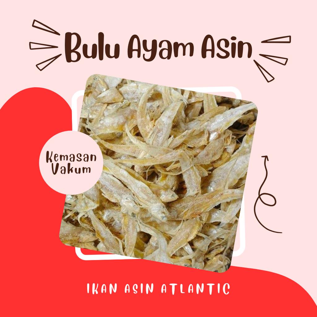 Jual Ikan Asin Bulu Ayam Kemasan Vakum 250 Gram - 1 Kg - Ikan Asin ...