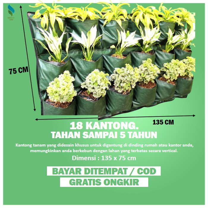 Jual Pot Tanaman Pot Bunga Wall Planter Bag Dinding Planterbag Polybag ...