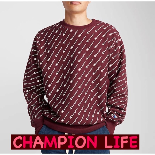 Champion s2973 outlet