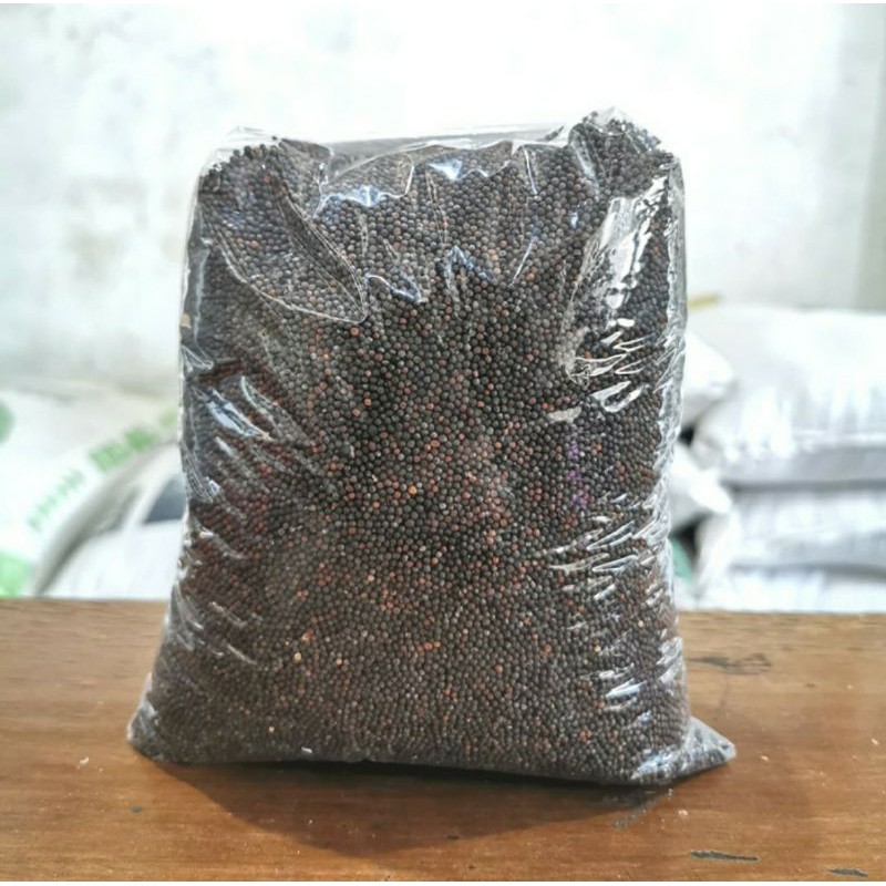 Jual Biji Sawi Sawi Pakan Burung Biji Sawi Repack 1 Kg Shopee