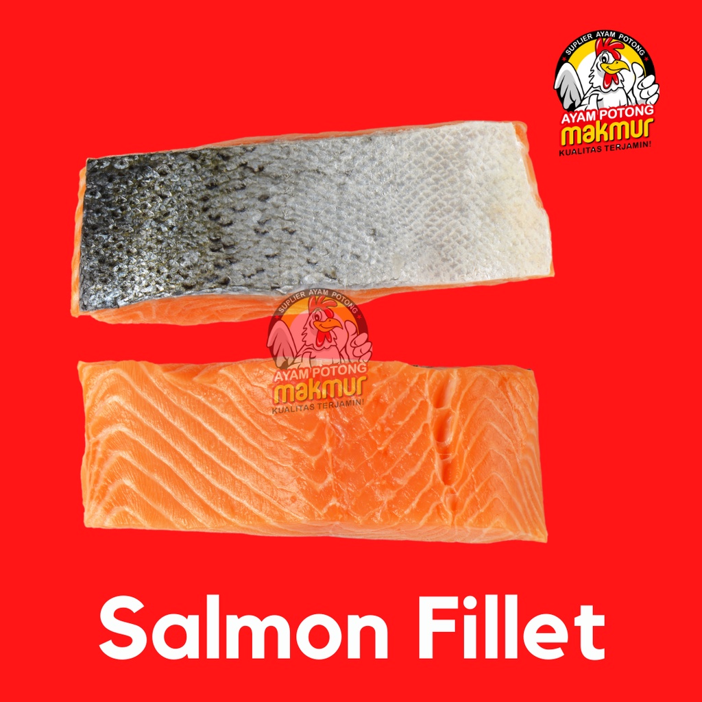Jual Salmon Fillet 100 Gram Shopee Indonesia