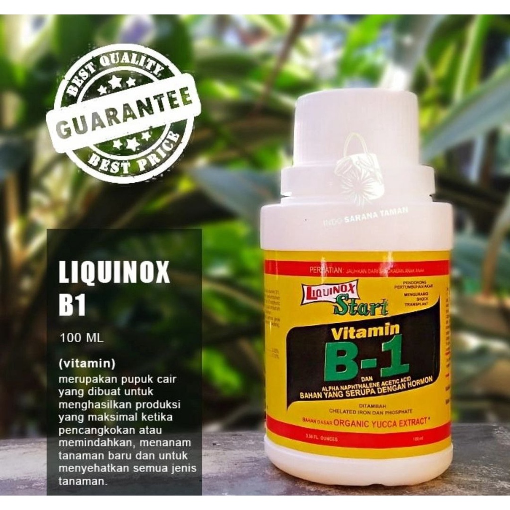 Jual VITAMIN B1 LIQUINOX 100ml Pupuk Tanaman Obat Anti Stress Tanaman