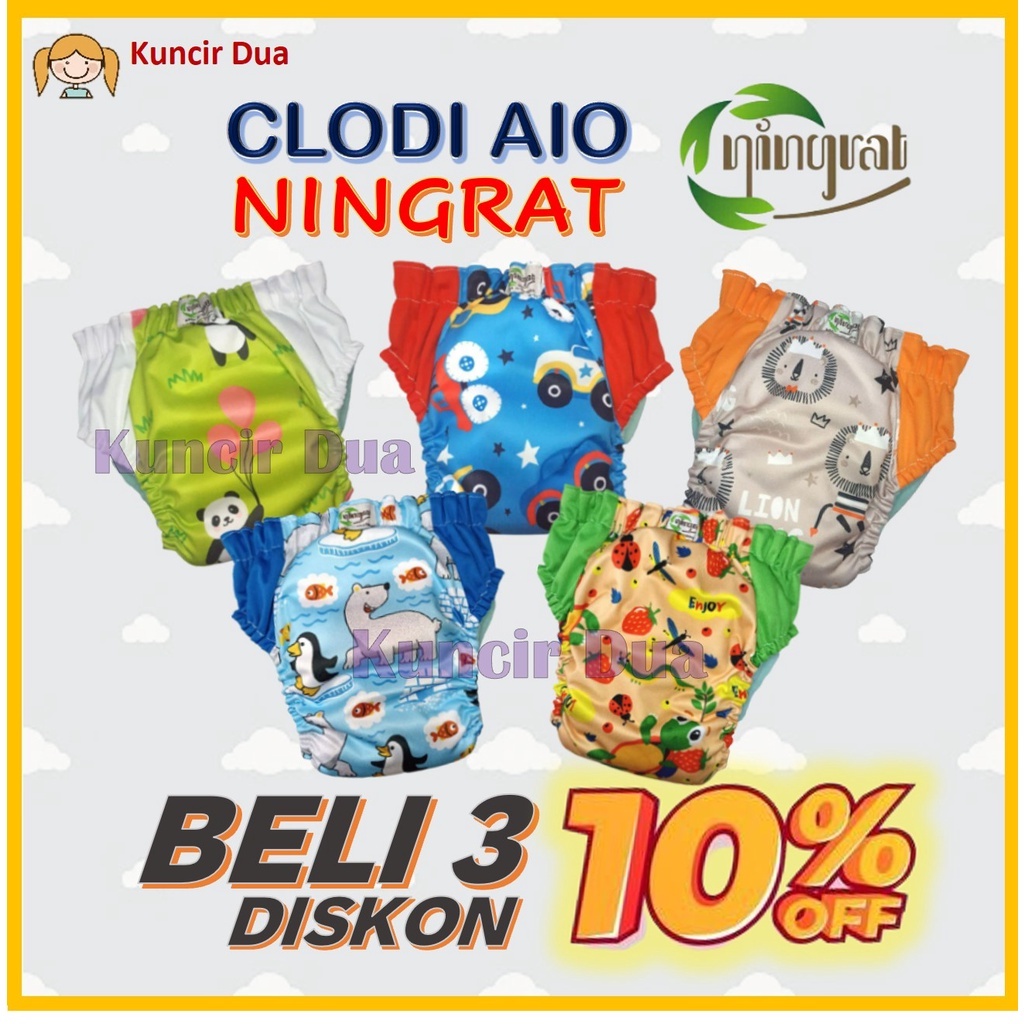 Jual Clodi Ningrat Pull Up Pant Aio Reguler Popok Kain Bayi Pempes Cuci ...