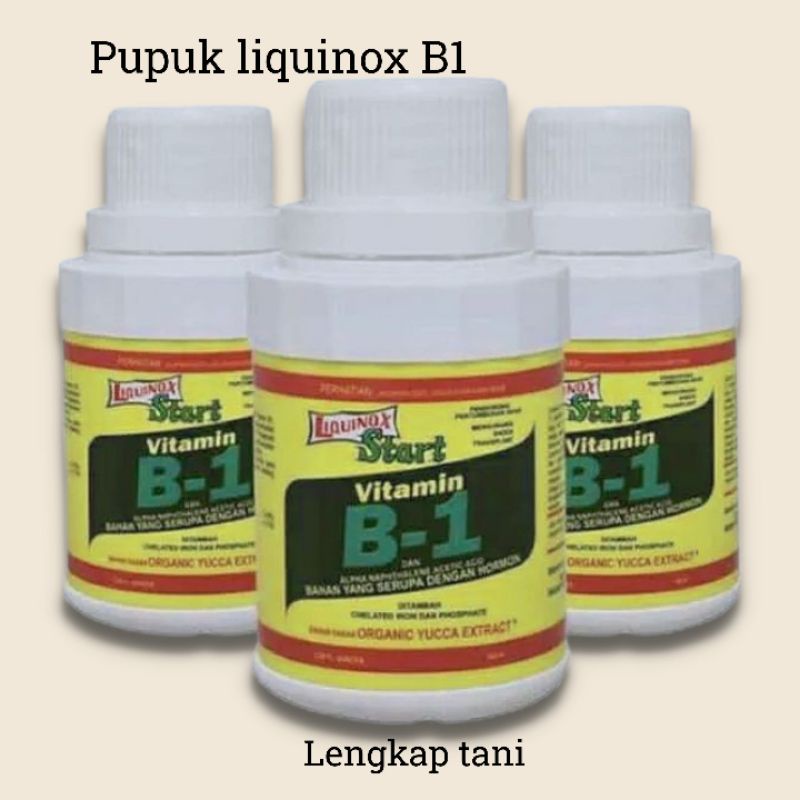 Jual Pupuk Liquinox B1 - ZPT Vitamin Anti Stress Tanaman - 100 Ml ...