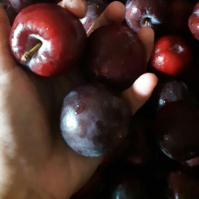 Jual Plum Merah 500 gram | Shopee Indonesia