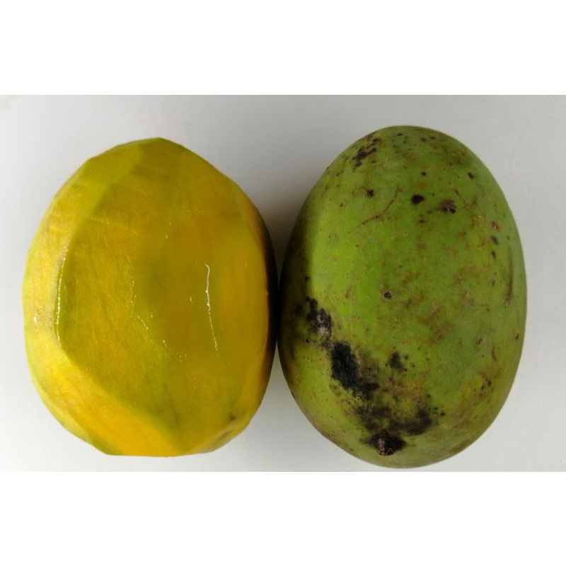 Jual Buah Mangga Kweni Wangi Harum Fresh 1kg Shopee Indonesia 