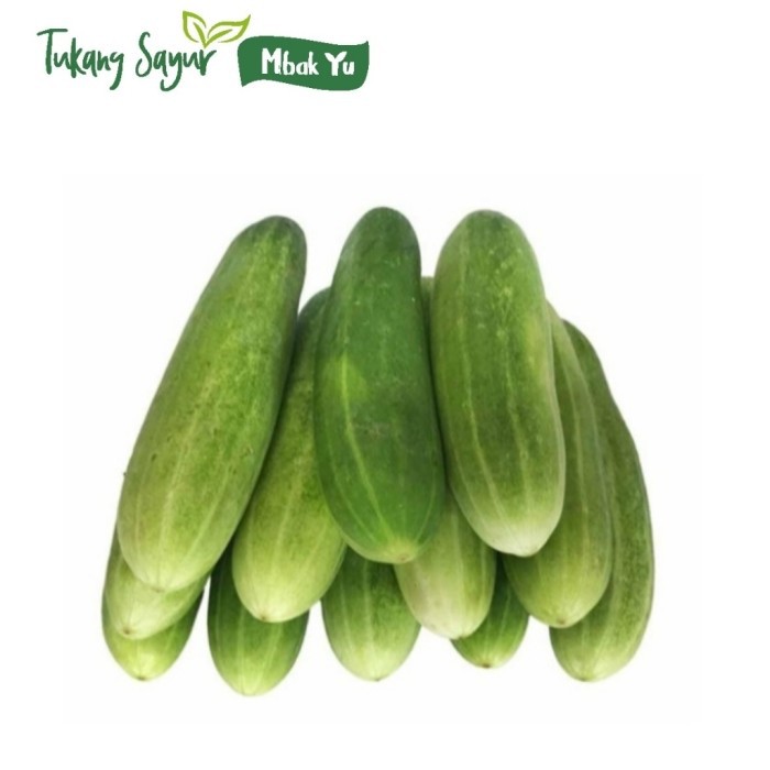 Jual Timun segar 500gr | Shopee Indonesia