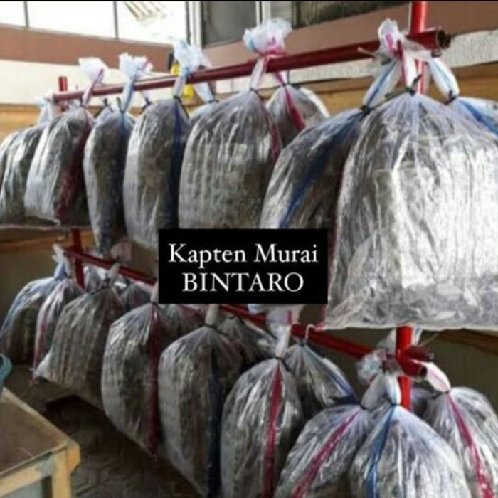 Jual tokped Harga Terbaik & Termurah Juli 2026 | Shopee Indonesia