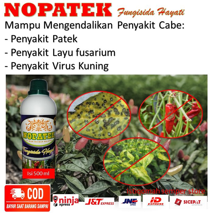 Jual Obat Cabe Obat Penyakit Cabe Nopatek Fungisida Hayati Isi Ml Shopee Indonesia