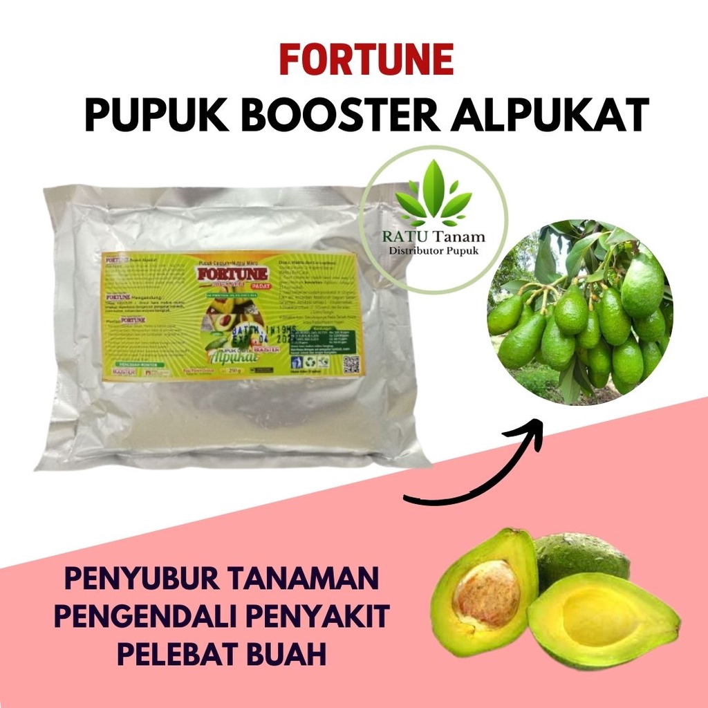 Jual Pupuk Alpukat Agar Berbuah Pupuk Perangsang Buah Alpukat Cepat Lebat Shopee Indonesia