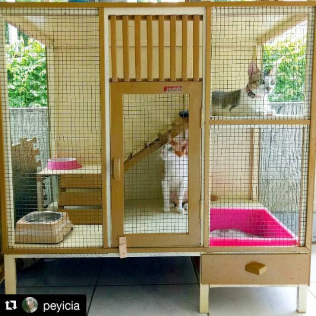 Jual Kandang kucing kayu tingkat | Shopee Indonesia