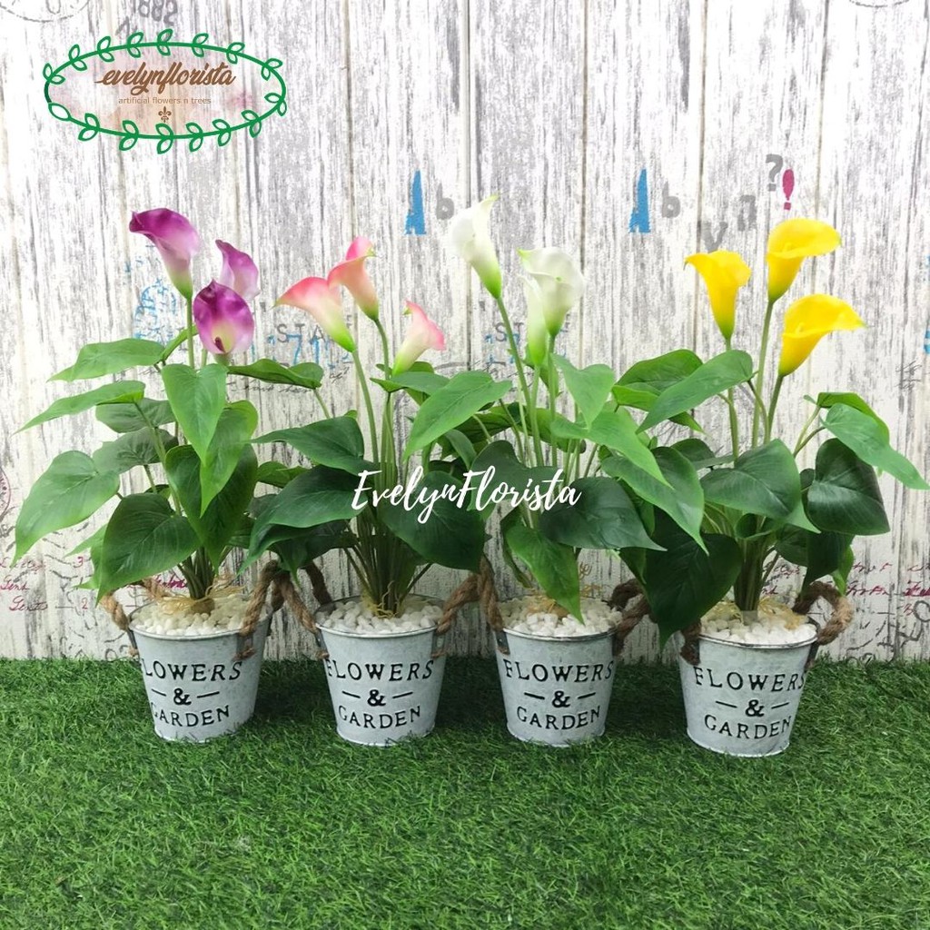 Jual Bunga Ember Lily Terlengkap & Harga Terbaru April 2026 | Shopee ...