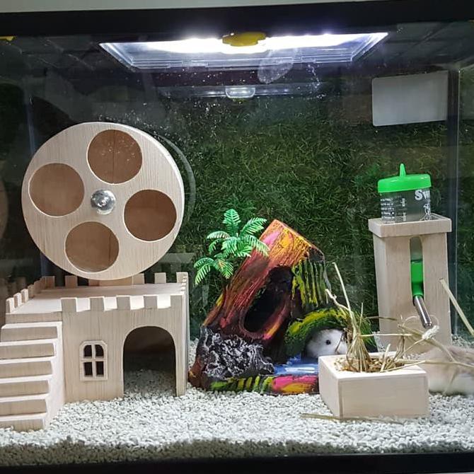 Hamster aquarium outlet