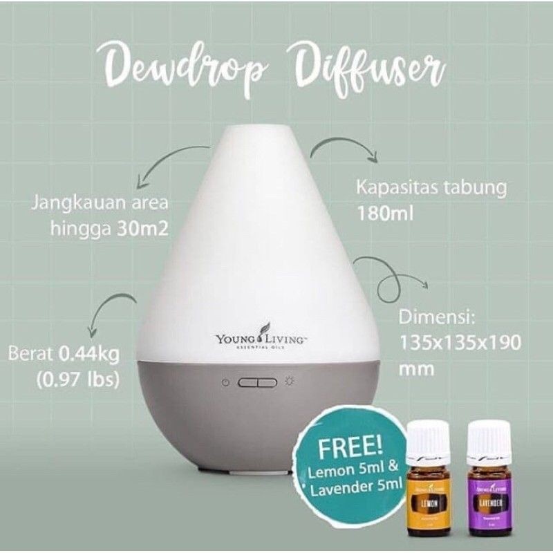 Harga diffuser young deals living