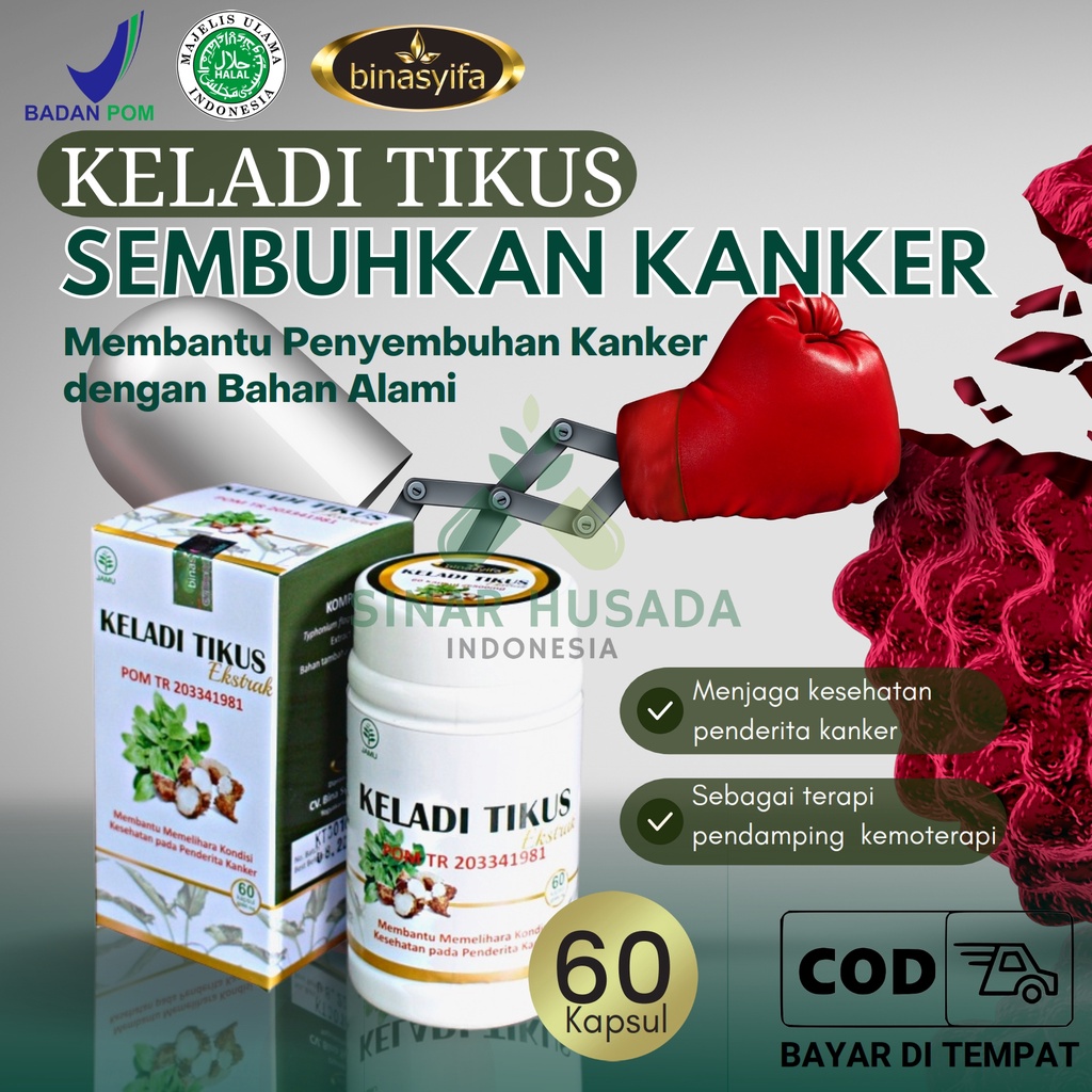 Jual Obat Herbal Kanker Kista Tumor Mioma Mencegah Efek Kemoterapi Dan