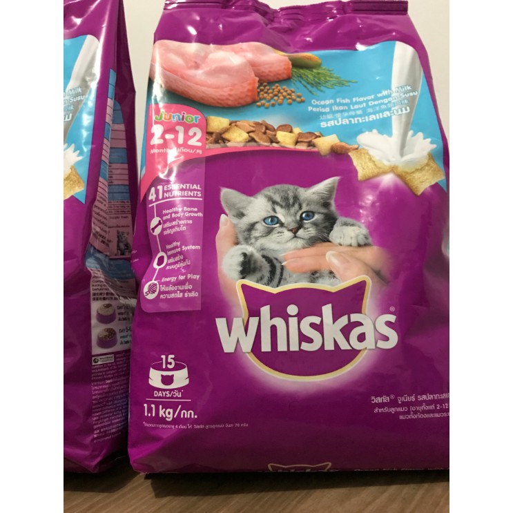 Whiskas junior hotsell dry food