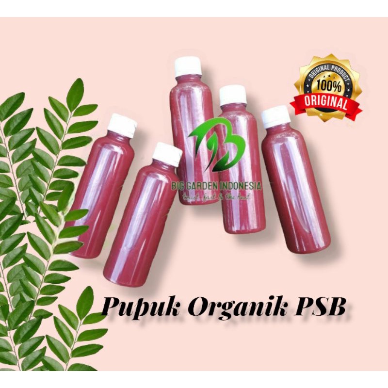 Jual Pupuk Organik POC Biang PSB Pupuk Nutrisi Tanaman 250 Ml | Shopee ...