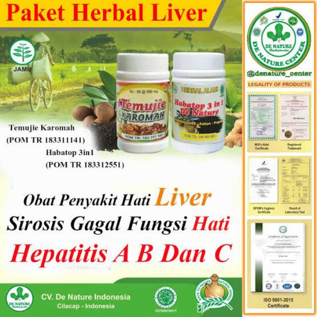 Jual Obat Herbal Liver,hepatitis | Shopee Indonesia