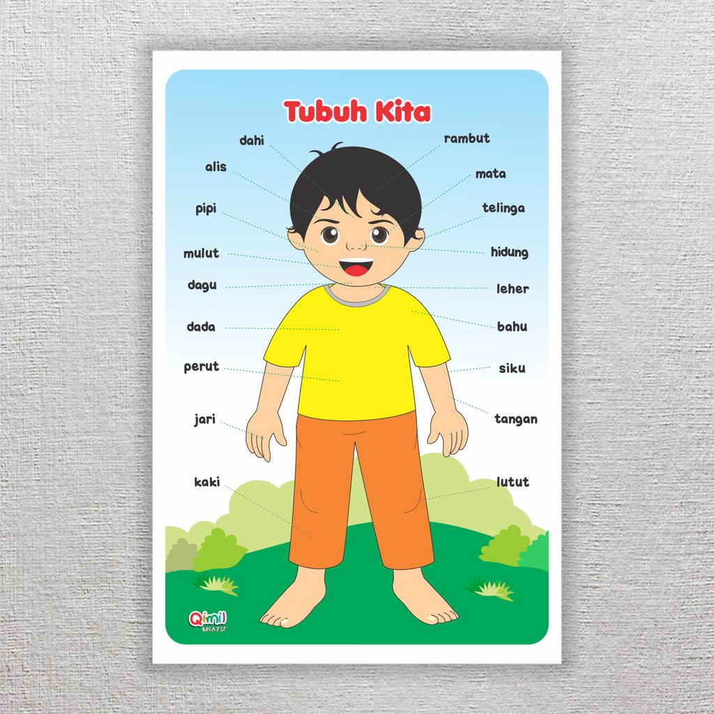 Jual Poster Belajar Anak TK / PAUD Mengenal Anggota Tubuh/ Mainan ...