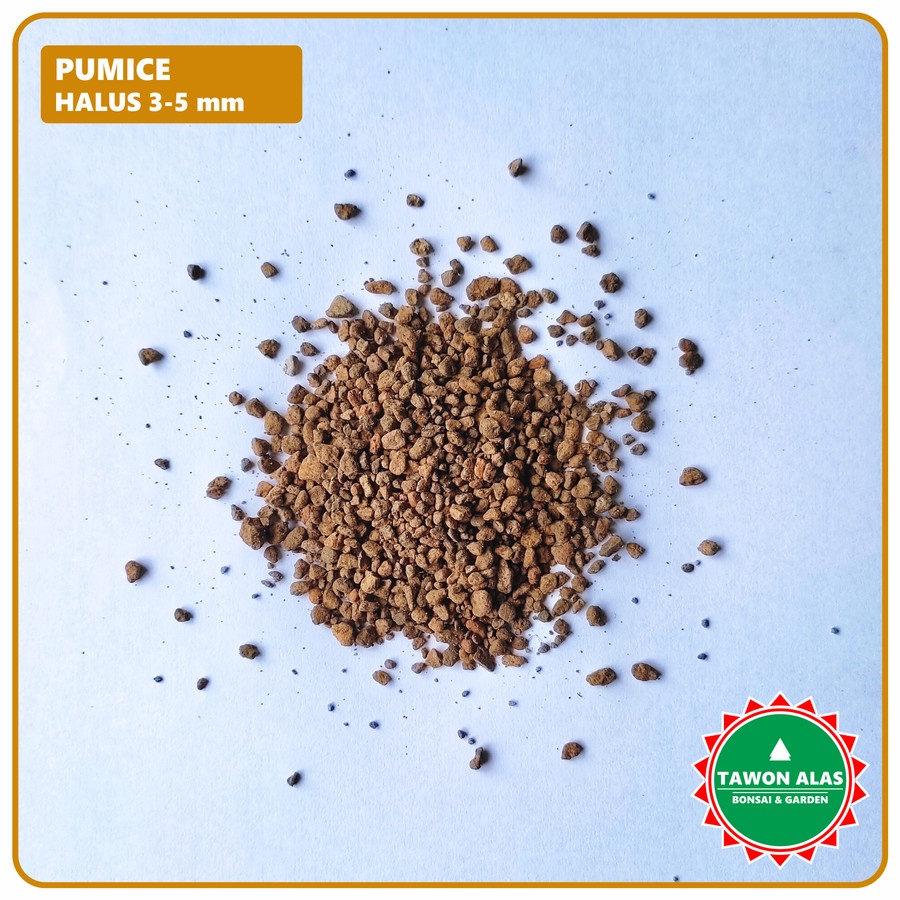 Pouzzolane Pour Bonsaï 1KG - Pierre Ponice Brun - Pour Drainage Et Développement Racinaire