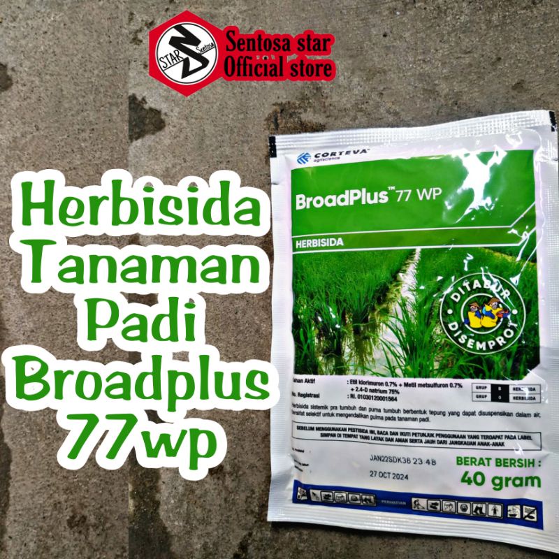 Jual Herbisida Broadplus 88WP Herbisida Selektif Tanaman Padi | Shopee ...