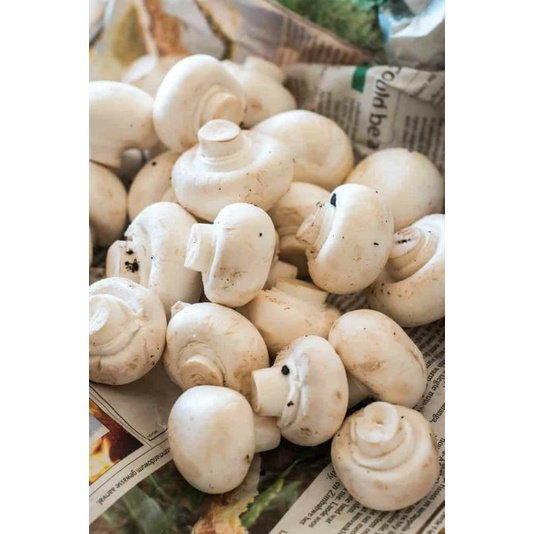Jual Jamur Kancing / Jamur Champignon (berat 250gr) Shopee Indonesia