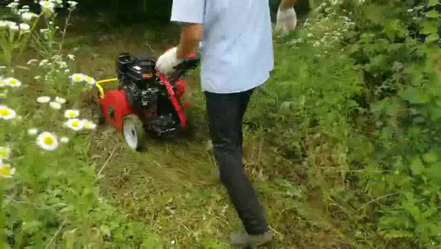 Jual MATSUMOTO Mesin Traktor Penghancur Semak Belukar Diesel MWG170D ...