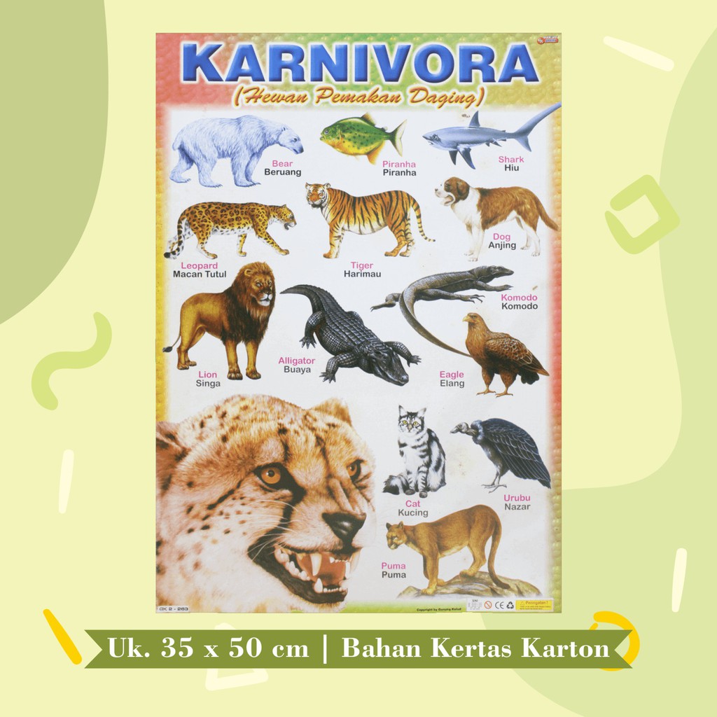 Jual Poster Edukasi Anak Mainan Edukasi Anak Lembaran : Herbivora