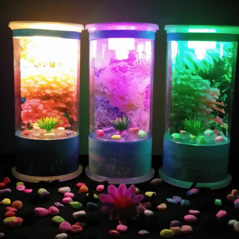 Jual BEST SELLER Akuarium Mini Fullset Aquarium Bulat Mika Cocok Cupang ...