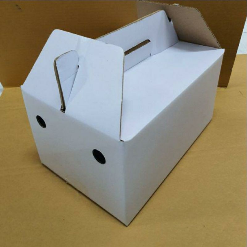 Jual Box Jinjing 27x18x15 Cm Kardus Polos Buah Hampers Shopee Indonesia