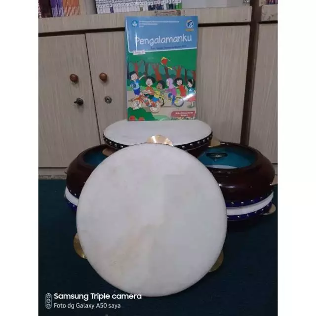 TERBANG BANJARI UK 31 KAYU MANGGA