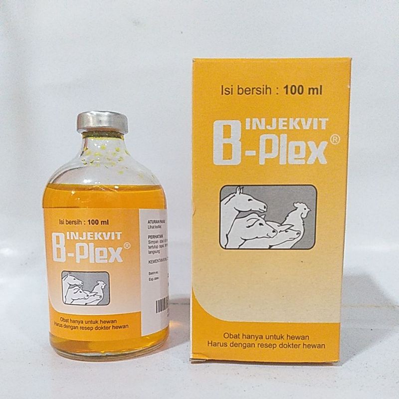 Jual Vitamin B Complek Injeksi / B Complex Cair 100 Ml / B Komplek ...