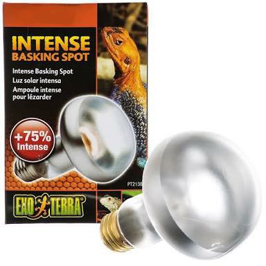 Basking Spot For Gecko Reference: Jual Intense Basking Spot 50W Exoterra Penghangat Kandang Reptil Kura