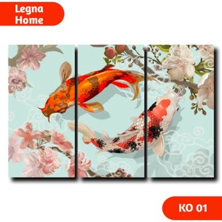 External Koi Fish Anatomy