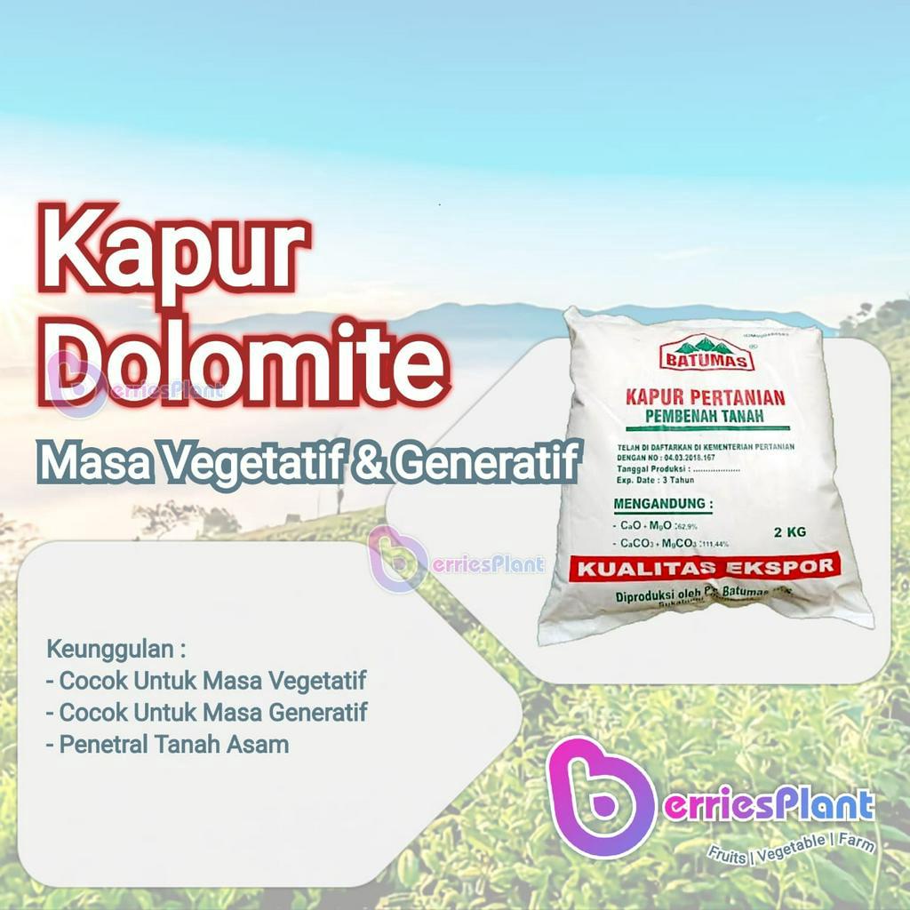 Jual Kapur Dolomite Super Pupuk Pembungaan Pupuk Pembuahan Pupuk