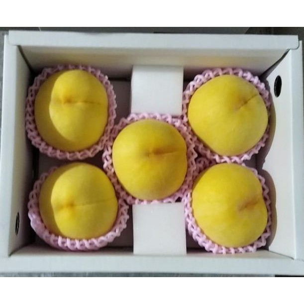 Jual Buah PREMIUM GOLDEN PEACH / MADE IN JAPAN / per box | Shopee