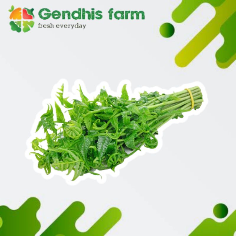 Jual Pakis Sayur Terlengkap & Harga Terbaru Mei 2026 | Shopee Indonesia