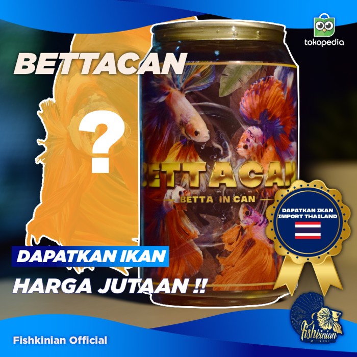 Jual New BETTACAN FISHKINIAN - IKAN CUPANG DALAM KALENG (MYSTERY ...