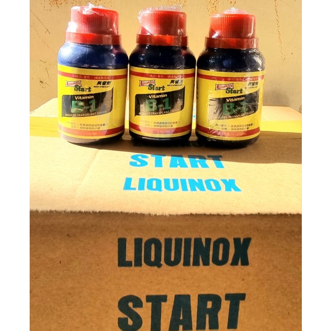 Jual Liquinox Vitamin B1 100 Ml Taiwan Dus 40 X 100 Ml | Shopee Indonesia