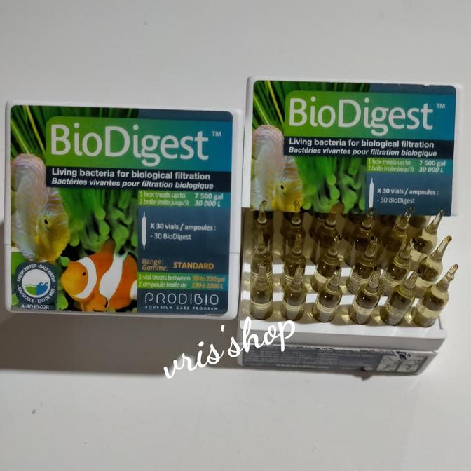 Jual Box Penyimpanan Obat - Biodigest Prodibio 1 Kotak 30 Ampule Obat ...