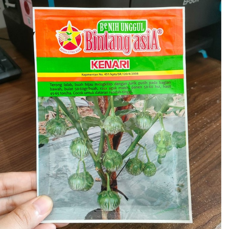 Jual Ba Benih Terong Lalap Hijau Kenari Isi Gram Benih Terung Lalap Bintang Asia