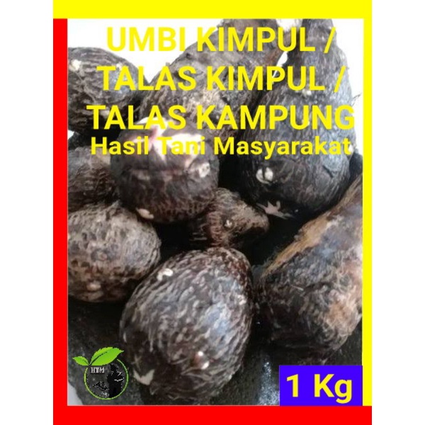 Jual Umbi Kimpul /Talas Kampung /Talas Kimpul - 1 Kg - Hasil Tani ...