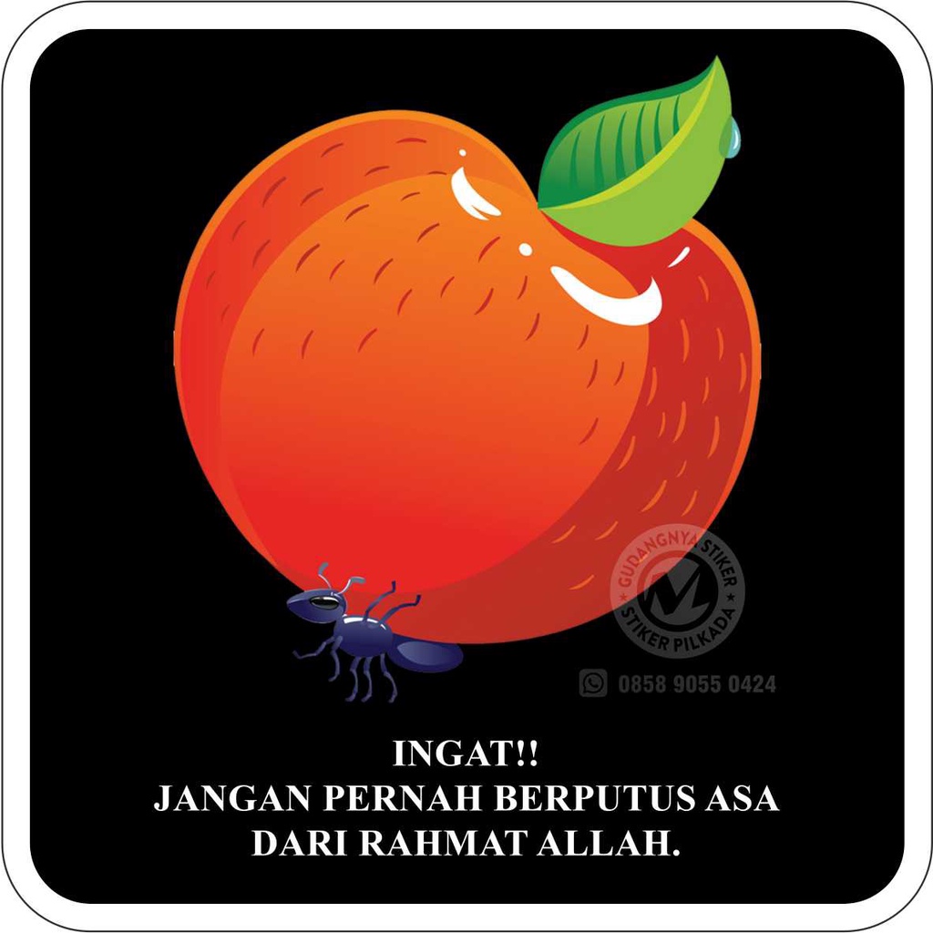 Jual STIKER VINYL JANGAN BERPUTUS ASA DARI RAHMAT ALLAH | Shopee Indonesia